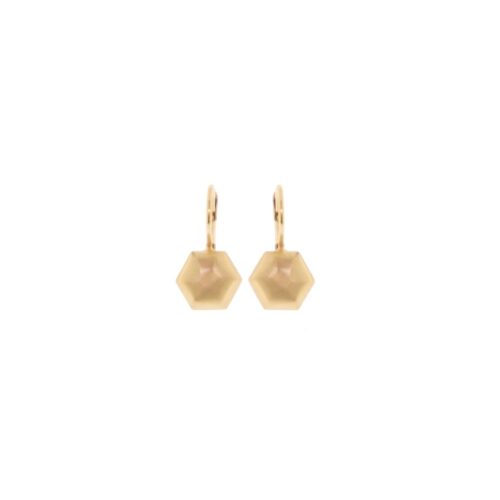 Orecchini Aquaforte Donna I Classici in Argento H4180079