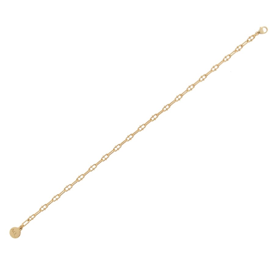 Bracciale Aquaforte Catene in Argento H4182808 1 Bracciale Aquaforte Catene in Argento H4182808